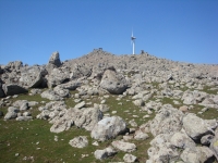 DSC08344pazar1259