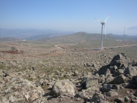 DSC08360pazar1315