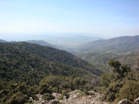 DSC08369pazar1344