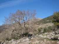 DSC08371pazar1554