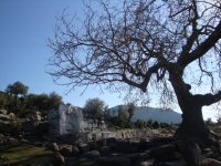 DSC08373pazar1602
