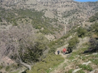 DSC08375pazar1615