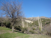 DSC08376pazar1637