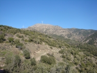 DSC08378pazar1646