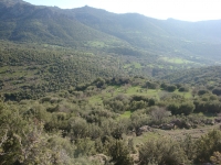 DSC08382pazar1659