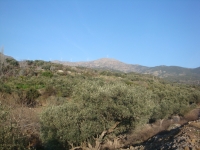 DSC08386pazar1744