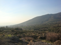 DSC08387pazar1753