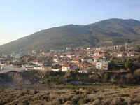 DSC08389pazar1801