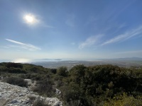 IMG_9305