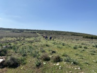 IMG_5311