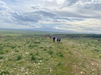 IMG_6119