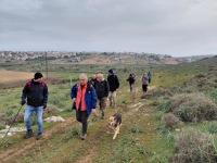 150ae955-7172-45e1-9f5b-ae472806391d