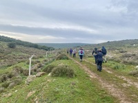 IMG_6179