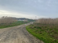 IMG_6204
