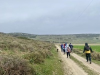 IMG_6207