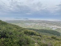 IMG_6215