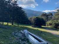 547d7d52-2c4b-4d5f-95a3-49632819cb01