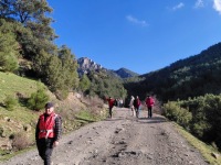 71a4bbf7-006d-4eda-ba76-9e49e5bfd4ea