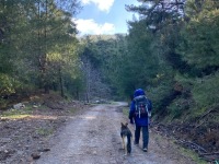 bdc38ada-409c-4ed0-a935-c76fb47f7e73