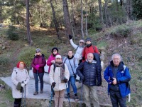 d296f80d-40e6-47e1-93e0-cd38503e826b