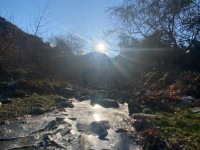 e9bc325b-b3a3-4bb9-97c6-de4e13d2497f