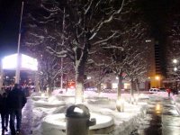 DSC05686