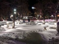 DSC05687