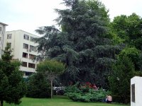 DSC04952