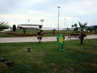 DSC04955