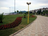 DSC04956