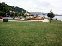 DSC04957