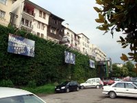 DSC04991