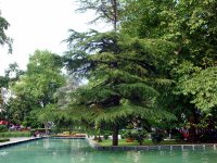 DSC05000