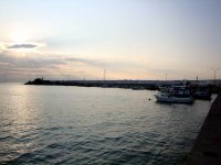 DSC05014