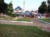DSC05019