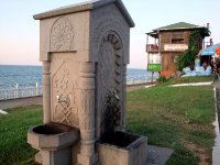 DSC05029