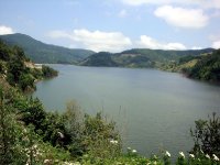 DSC04175