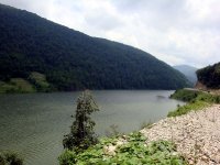 DSC04177