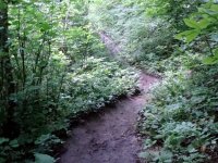 DSC04204