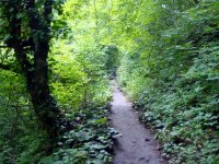 DSC04205