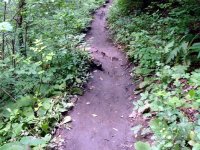DSC04208