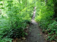 DSC04210