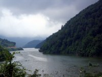 DSC04241