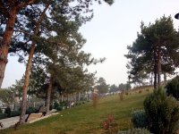 DSC00384