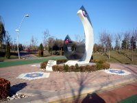DSC00524