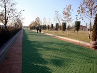 DSC00536