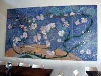 DSC00557