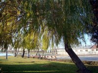 DSC00561