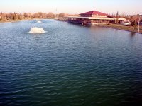 DSC00564