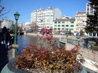 DSC00684